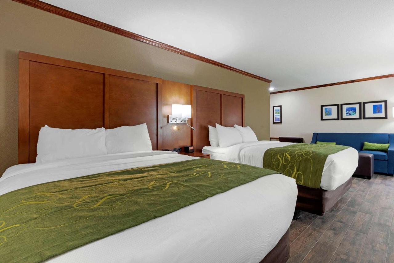 Accessible Efficiency Suite with Two Queen Beds and Sofa Bed - Non Smoking at Comfort Suites West Monroe near Ike Hamilton Expo Center