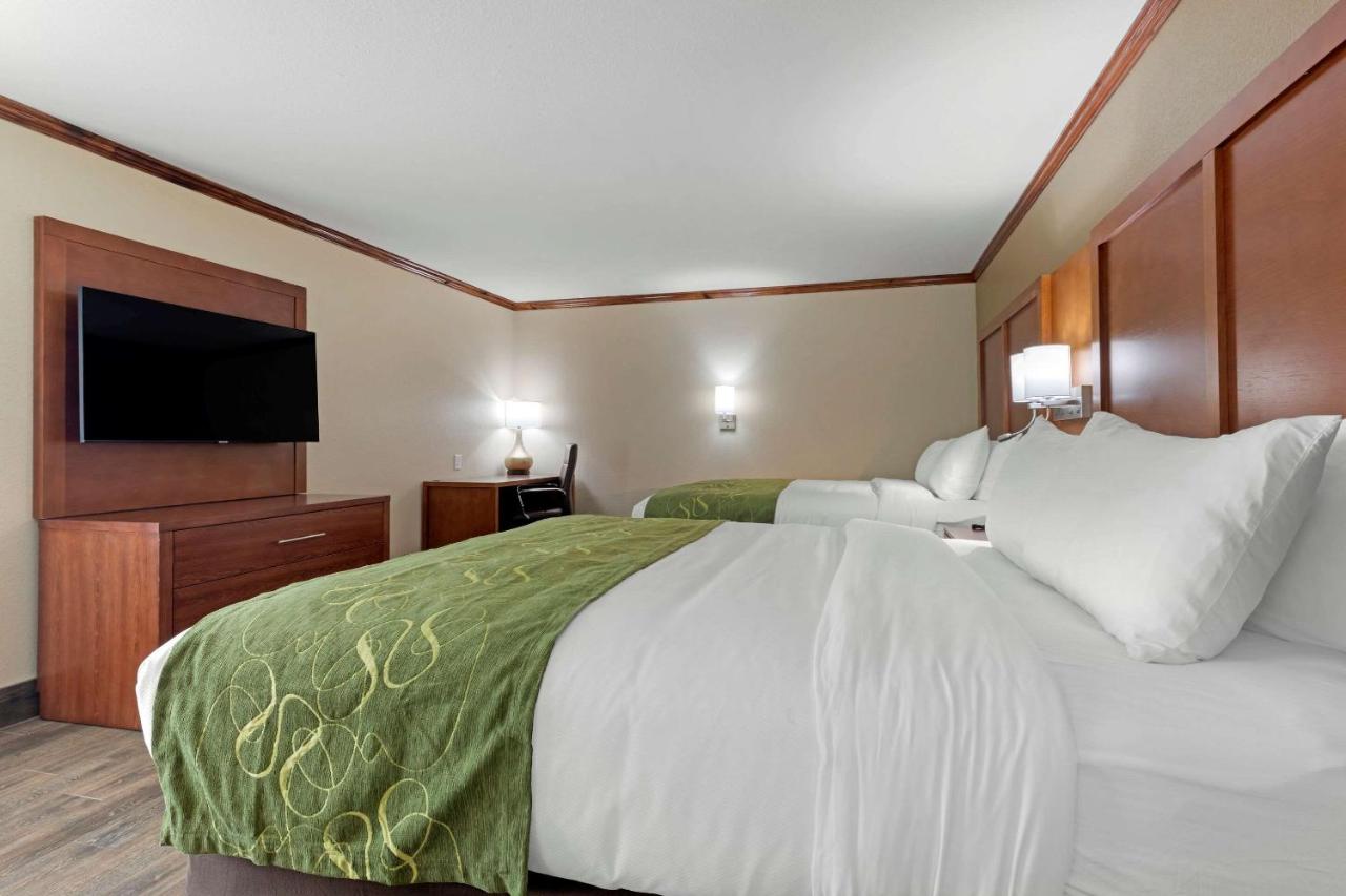 Accessible Efficiency Suite with Two Queen Beds and Sofa Bed - Non Smoking at Comfort Suites West Monroe near Ike Hamilton Expo Center