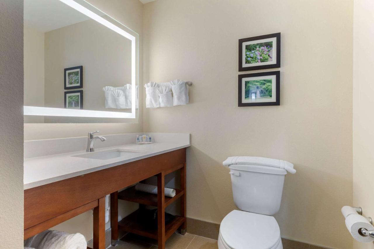 King Suite with Sofa Bed - Non Smoking at Comfort Suites West Monroe near Ike Hamilton Expo Center