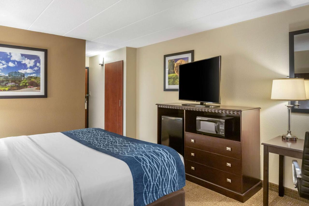 King Room Accessible Bathtub- Non Smoking at Comfort Inn Grand Rapids Airport