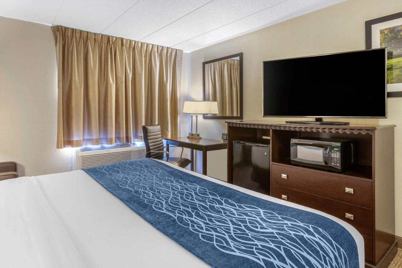 King Room - Non-Smoking at Comfort Inn Grand Rapids Airport