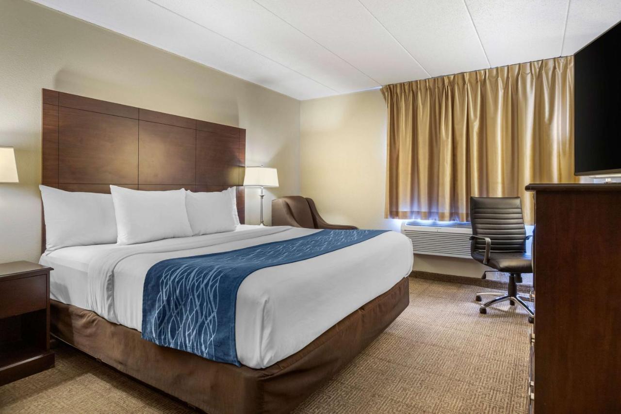 King Room - Non-Smoking at Comfort Inn Grand Rapids Airport