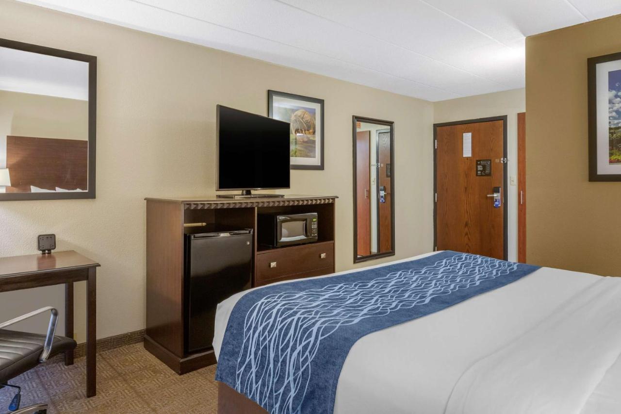 King Room - Non-Smoking at Comfort Inn Grand Rapids Airport