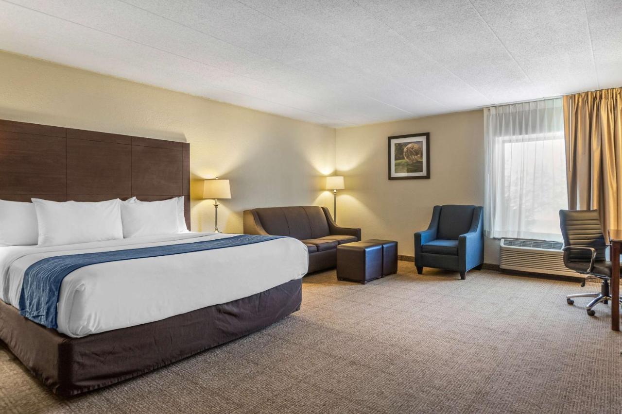 King Room with Sofa Bed - Non-Smoking at Comfort Inn Grand Rapids Airport