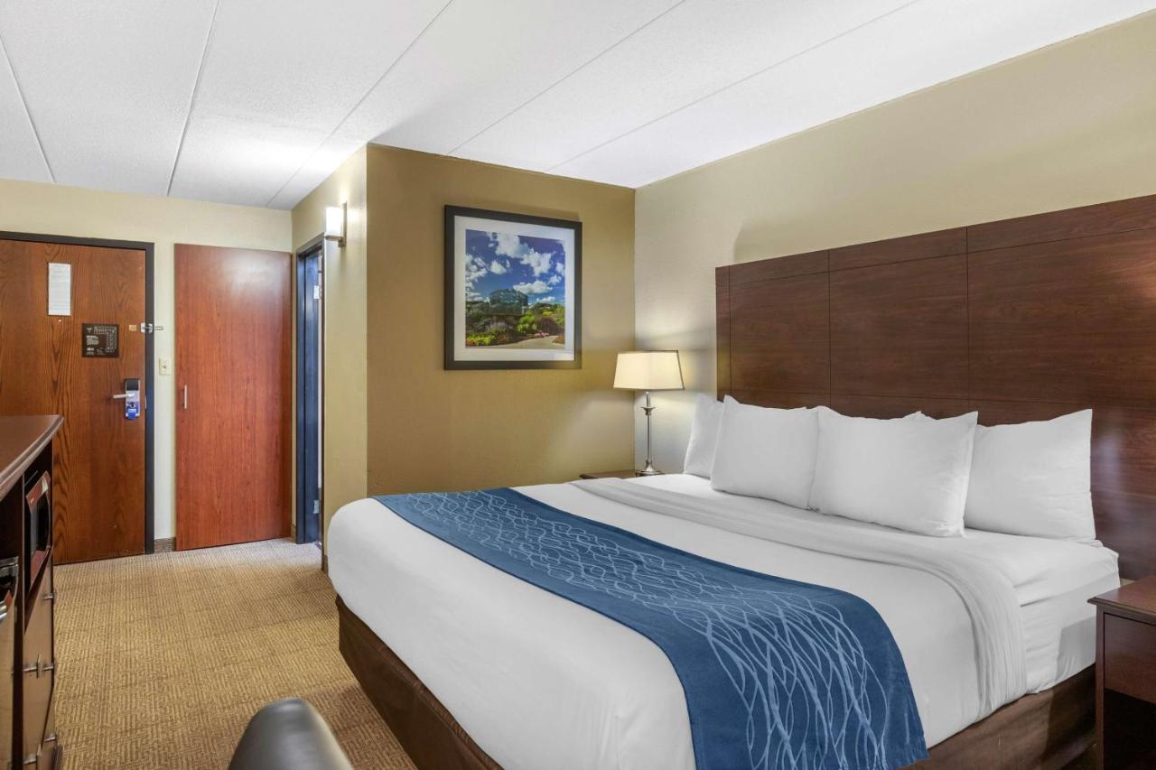 King Room - Non-Smoking at Comfort Inn Grand Rapids Airport