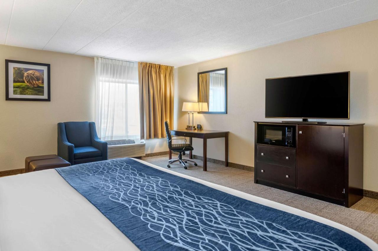 King Room with Sofa Bed - Non-Smoking at Comfort Inn Grand Rapids Airport