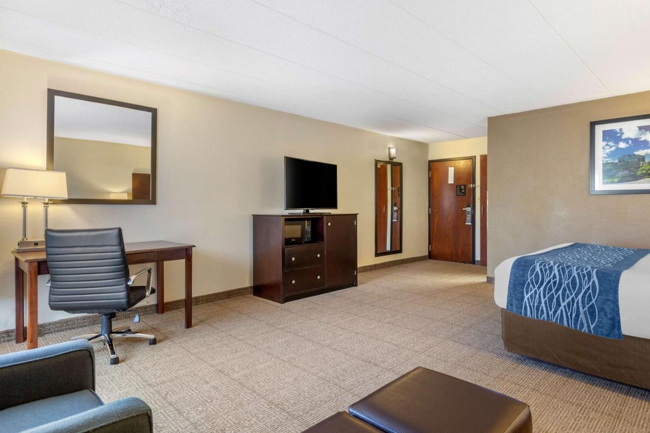 King Room with Sofa Bed - Non-Smoking at Comfort Inn Grand Rapids Airport
