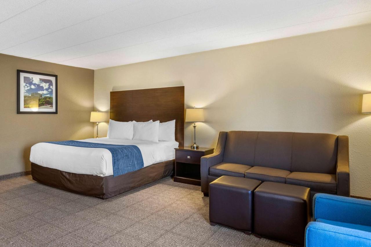 King Room with Sofa Bed - Non-Smoking at Comfort Inn Grand Rapids Airport