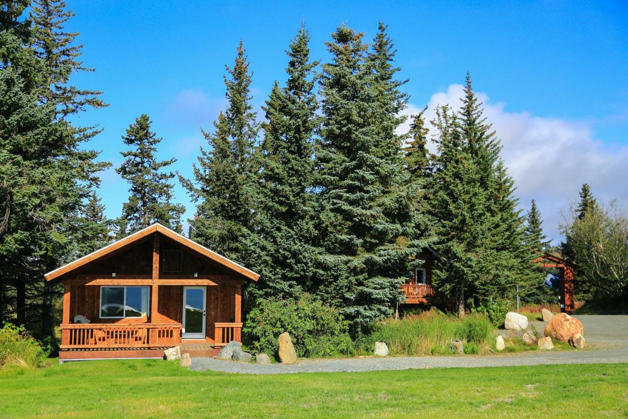 Cottage with Mountain View at Kenai Peninsula Suites