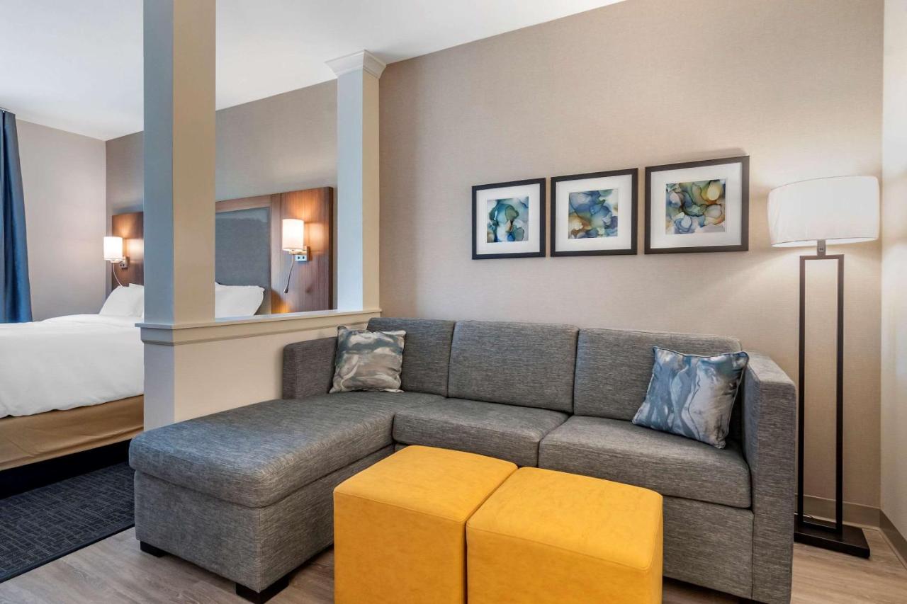 King Suite with Roll-in Shower Accessible/Non Smoking at Comfort Suites Grandview - Kansas City