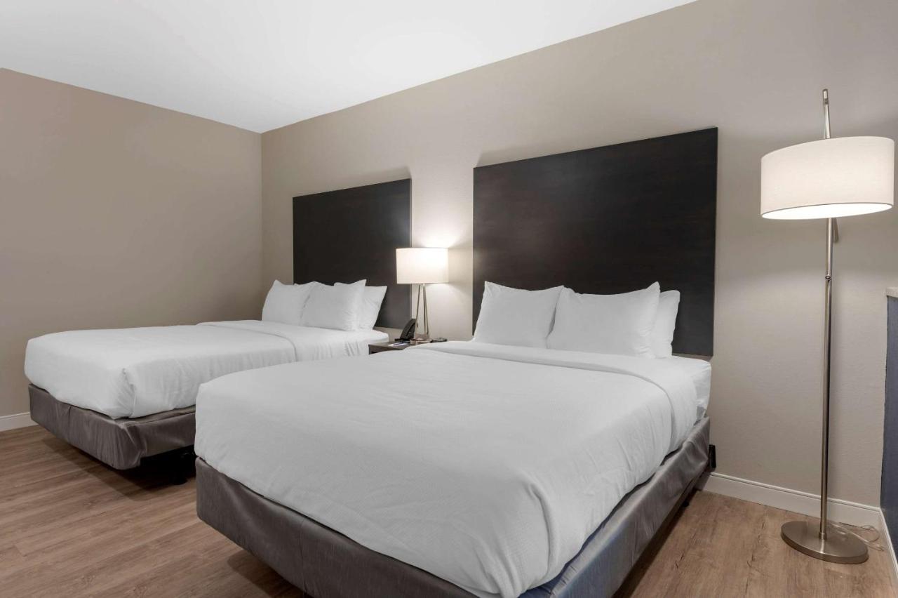 Queen Room with Two Queen Beds - Accessible/Non Smoking at Comfort Suites Cincinnati University - Downtown