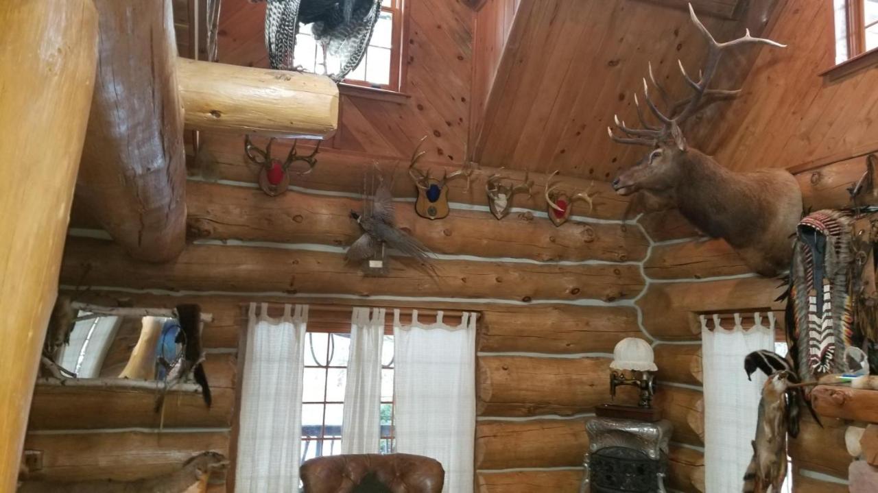  | Dream Catcher Log Cabin