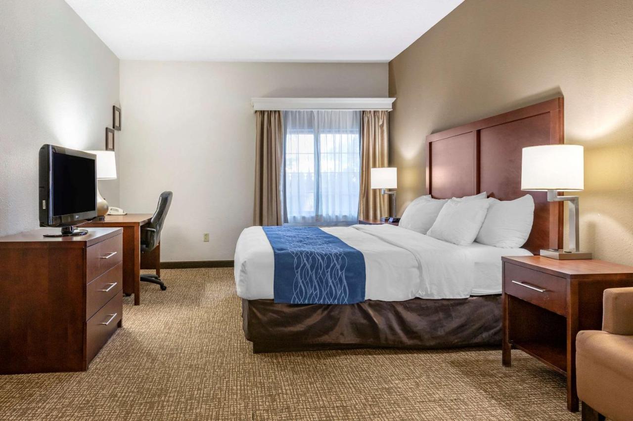 King Room - Non-Smoking at Comfort Inn Downtown - University Area