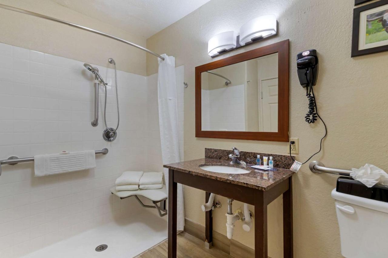 King Suite - Accessible/Non-Smoking at Comfort Inn & Suites Near Six Flags & Medical Center