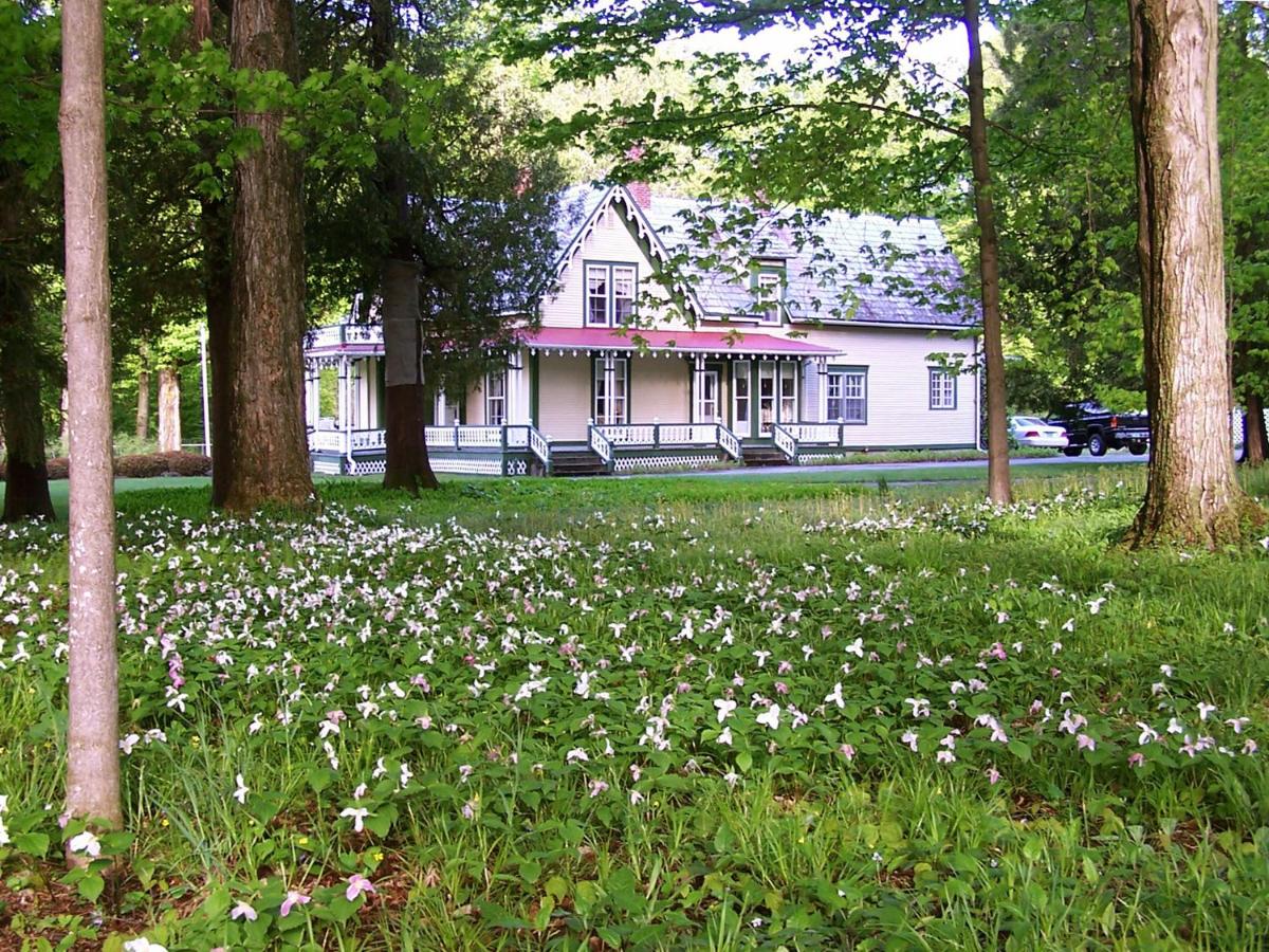  | DreamHouse Country Inn
