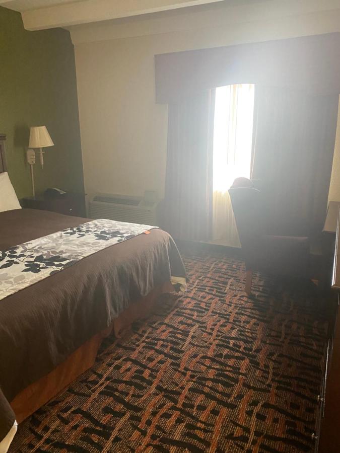 King Room - Non-Smoking at Executive inn