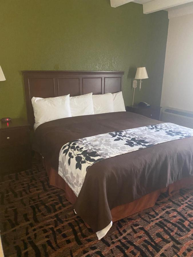King Room - Non-Smoking at Executive inn