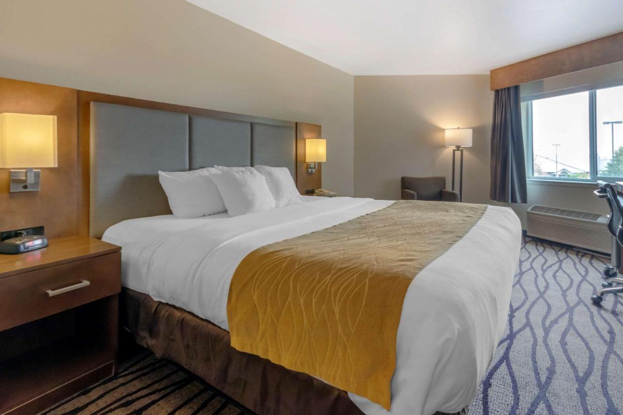 King Room - Accessible/Non-Smoking at Comfort Inn & Suites Market - Airport
