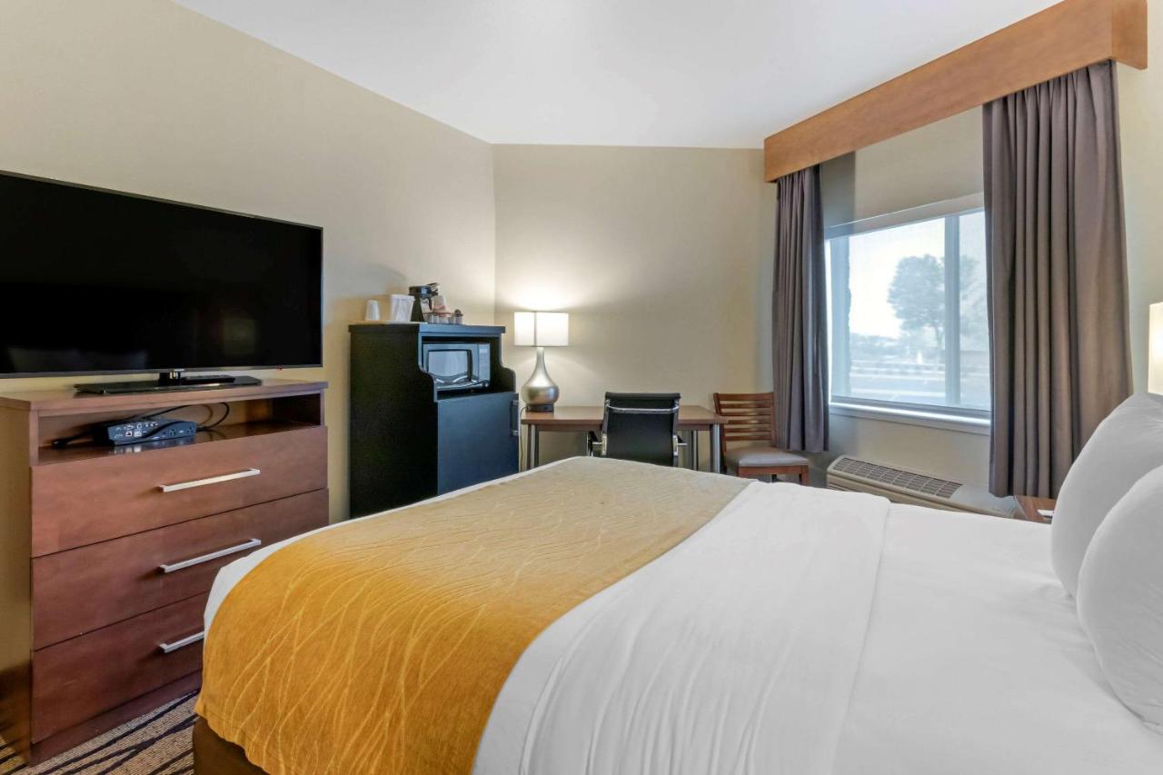 Queen Room - Disability Access/Non-Smoking at Comfort Inn & Suites Market - Airport