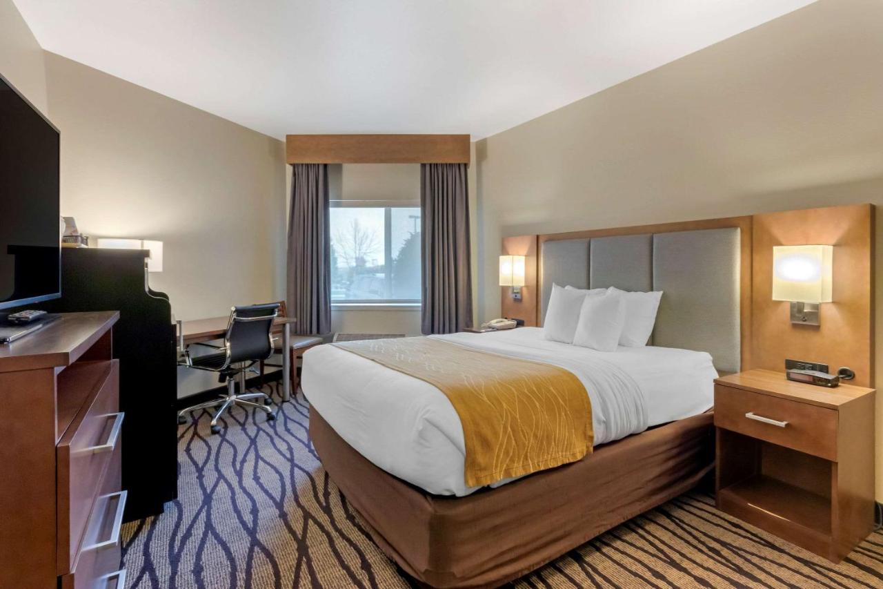 Queen Room - Disability Access/Non-Smoking at Comfort Inn & Suites Market - Airport