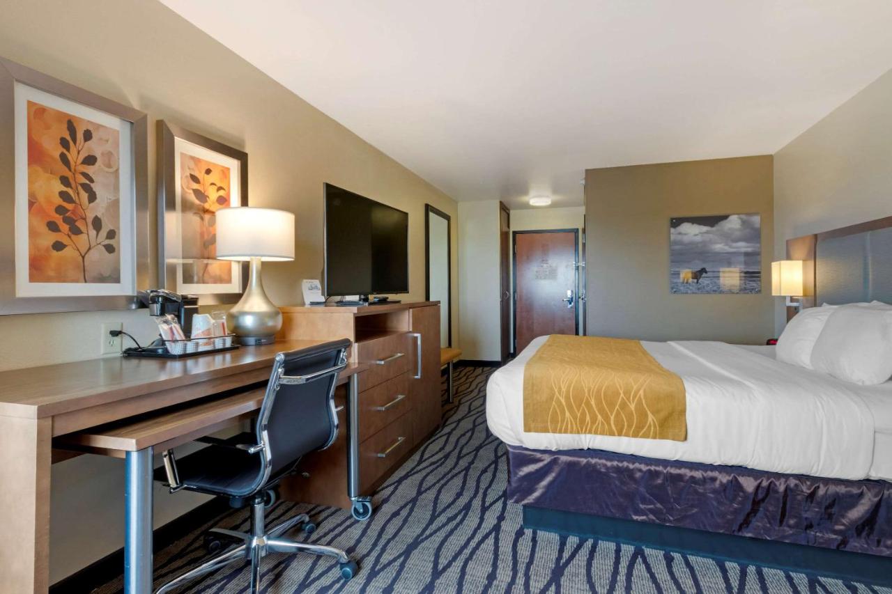 King Room - Accessible/Non-Smoking at Comfort Inn & Suites Market - Airport
