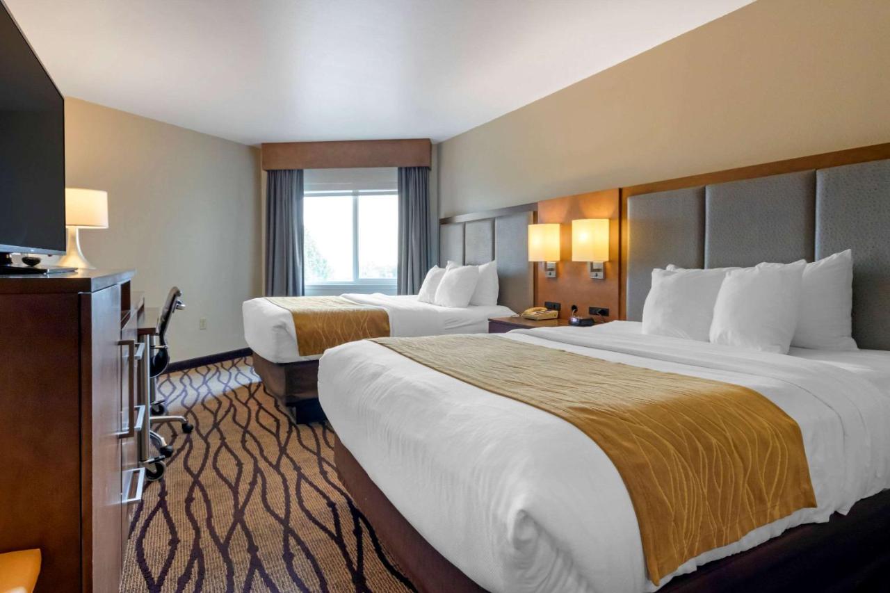 Queen Room with Two Queen Beds - Non-Smoking at Comfort Inn & Suites Market - Airport