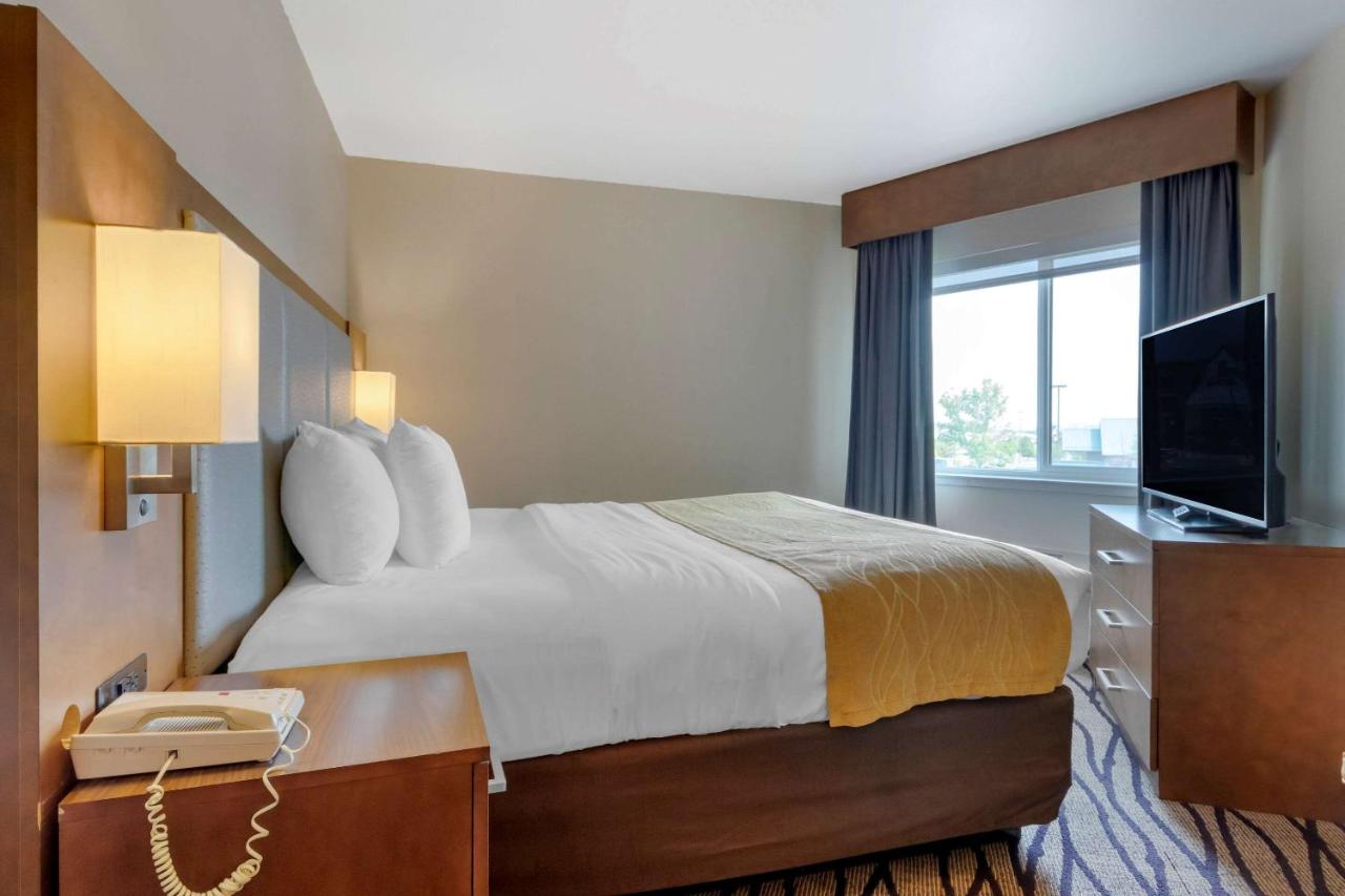 Buisiness King Suite - Non-Smoking at Comfort Inn & Suites Market - Airport