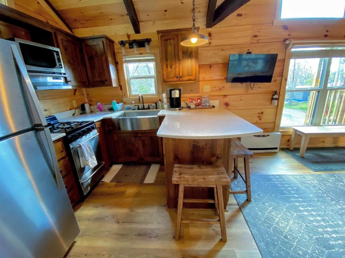  | B10 NEW Awesome Tiny Home with AC, Mountain Views, Minutes to Skiing, Hiking, Attractions