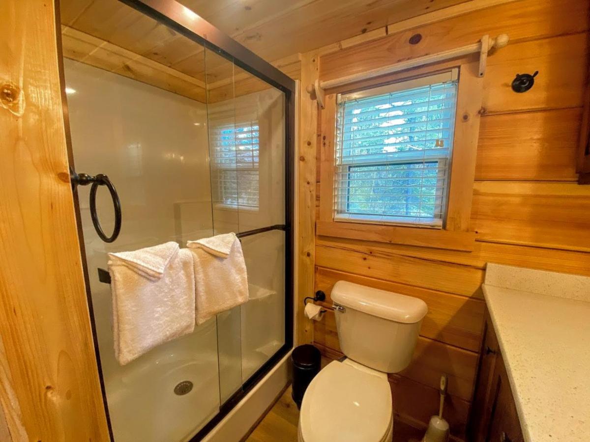 | B2 NEW Awesome Tiny Home with AC, Mountain Views, Minutes to Skiing, Hiking, Attractions