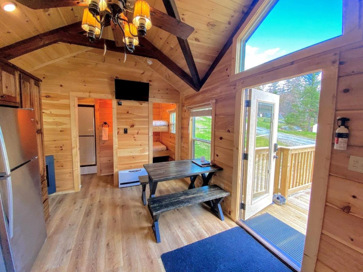 | B3 NEW Awesome Tiny Home with AC, Mountain Views, Minutes to Skiing, Hiking, Attractions