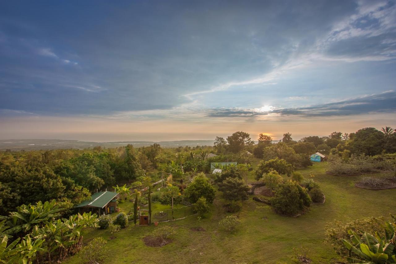 | Banyan Tree Sanctuary Guest House