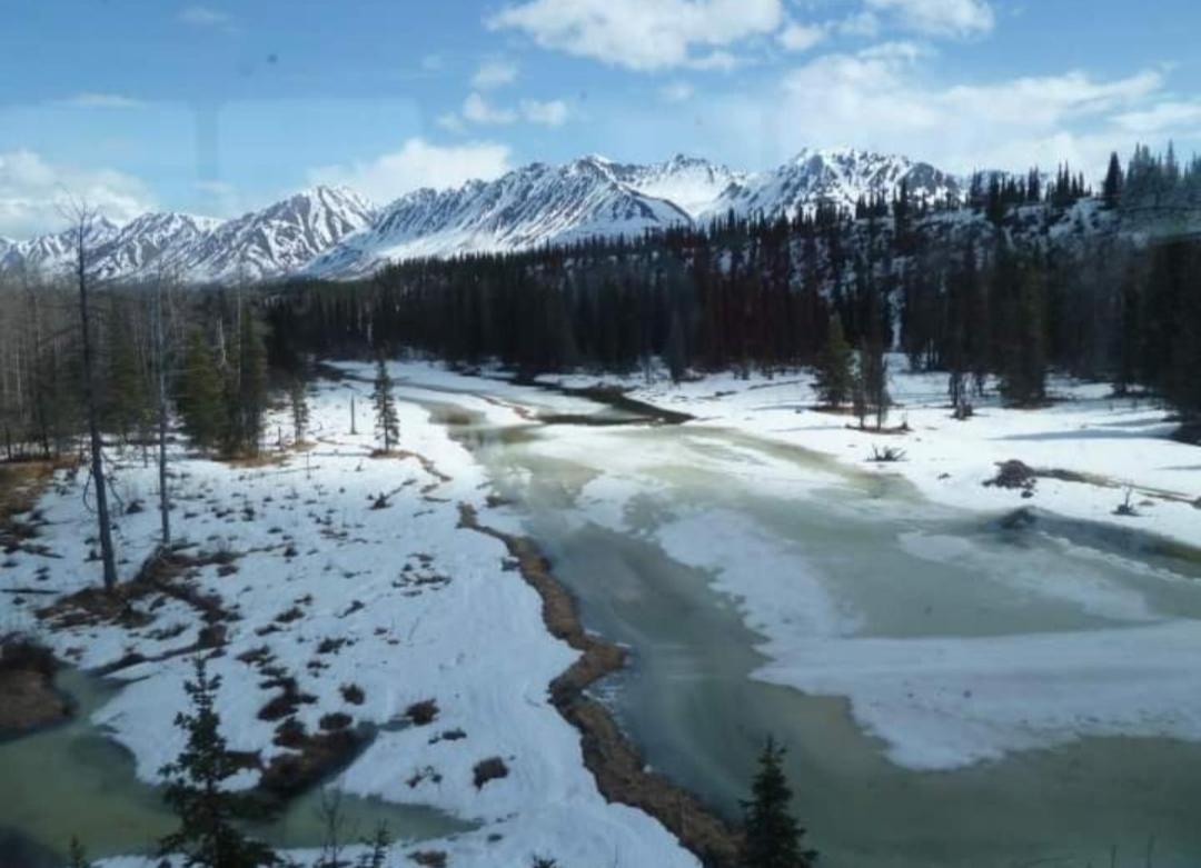 | Alaska Grizzly Lodge