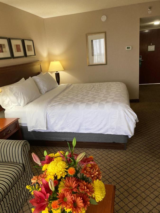 King Room with Sofa Bed - Non-Smoking at Holiday Inn Hotel & Suites Cincinnati - Eastgate by IHG