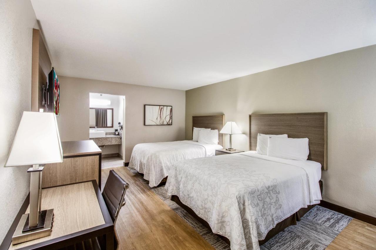 Superior Room with Two Double Beds Smoke Free at Red Roof Inn PLUS+ Dallas – Addison