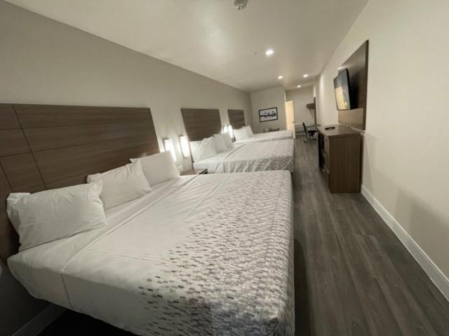 | Palace Inn Blue - Garth Rd
