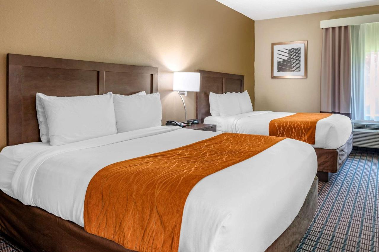 Efficiency Queen Suite - Non-Smoking at Comfort Inn & Suites Cincinnati Uptown Clifton