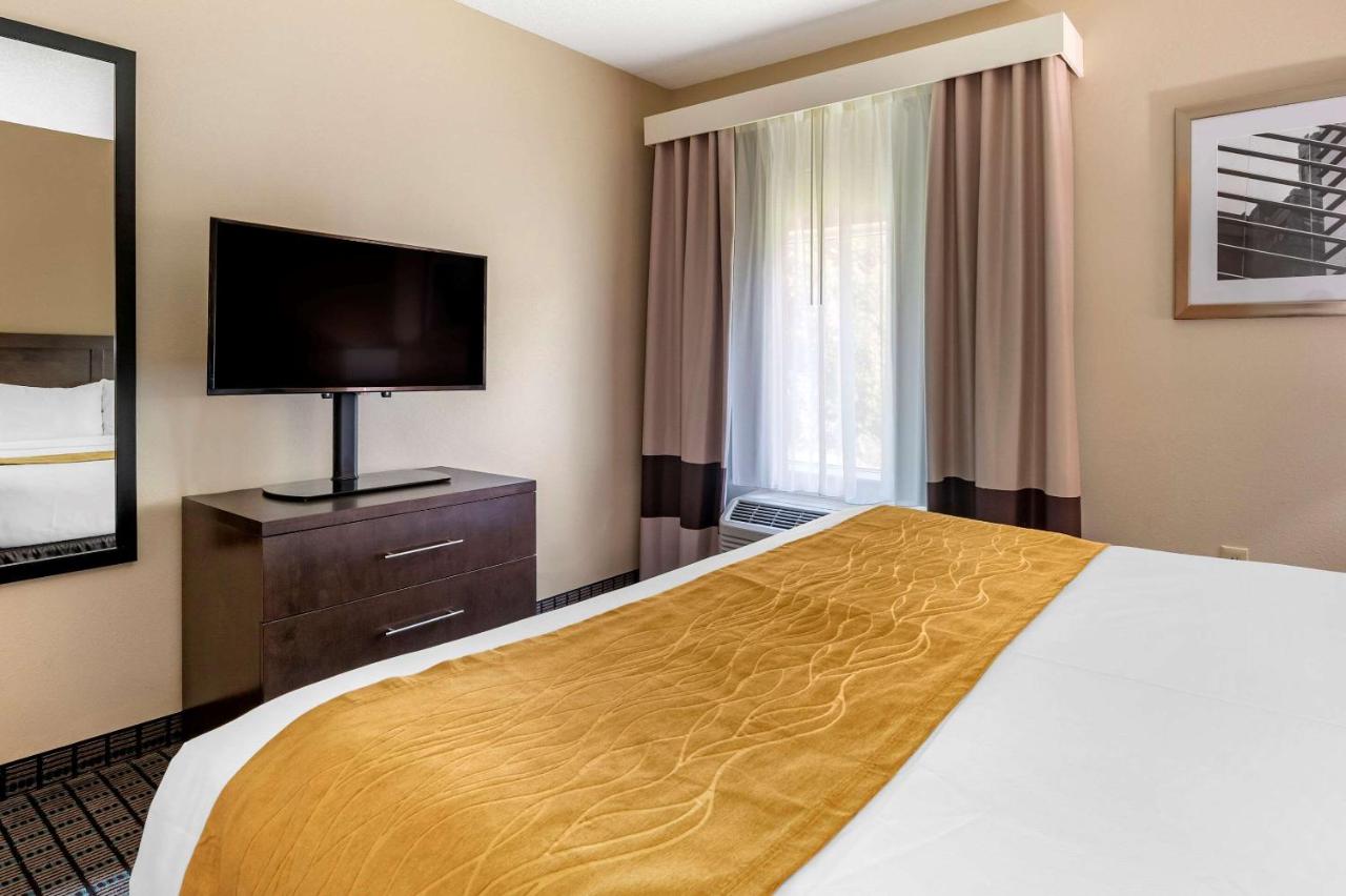 King Suite- Non-Smoking at Comfort Inn & Suites Cincinnati Uptown Clifton