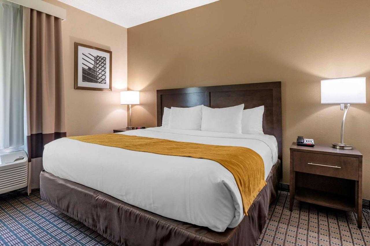 King Suite- Non-Smoking at Comfort Inn & Suites Cincinnati Uptown Clifton