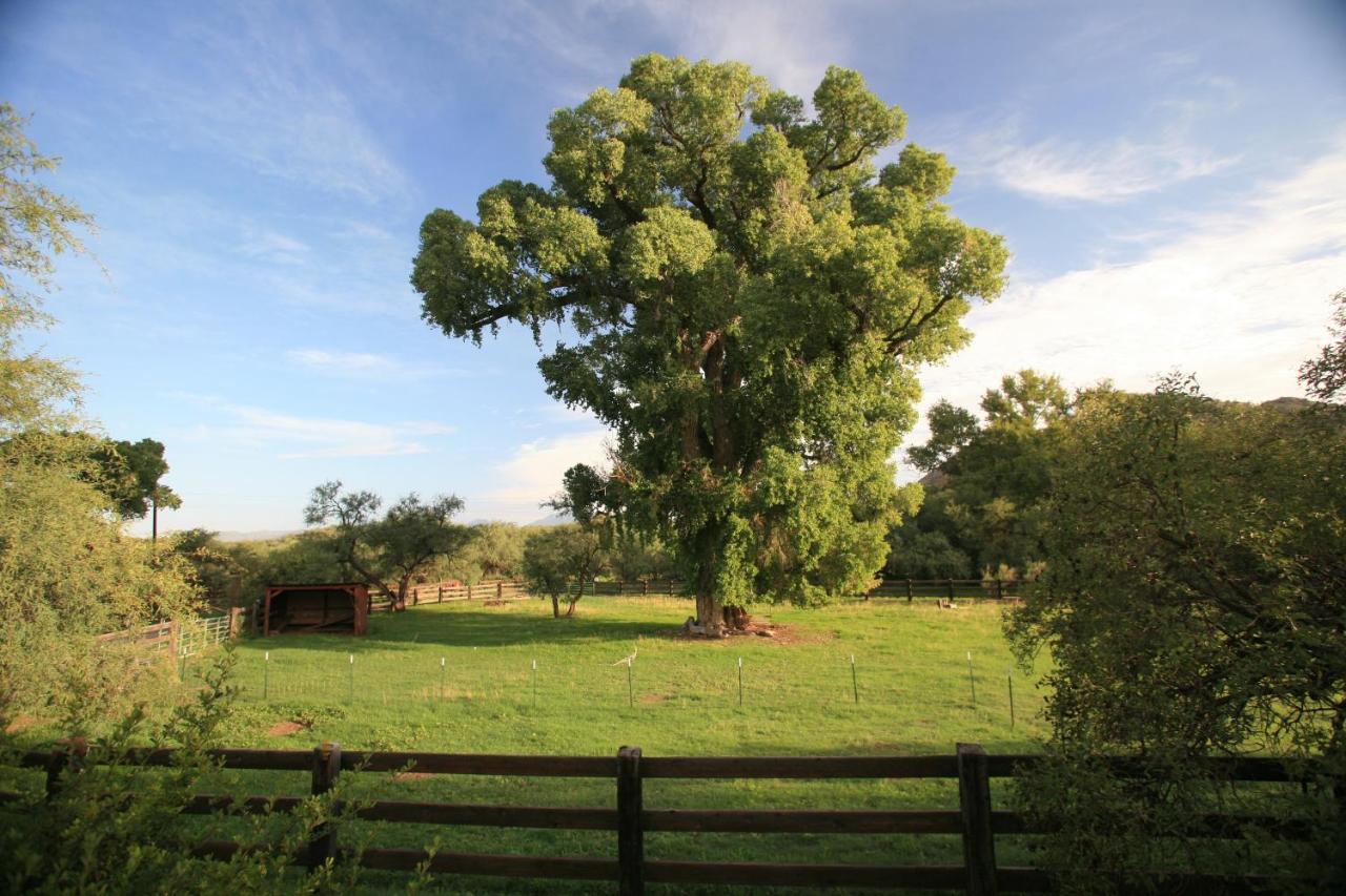  | Spirit Tree Inn B&B
