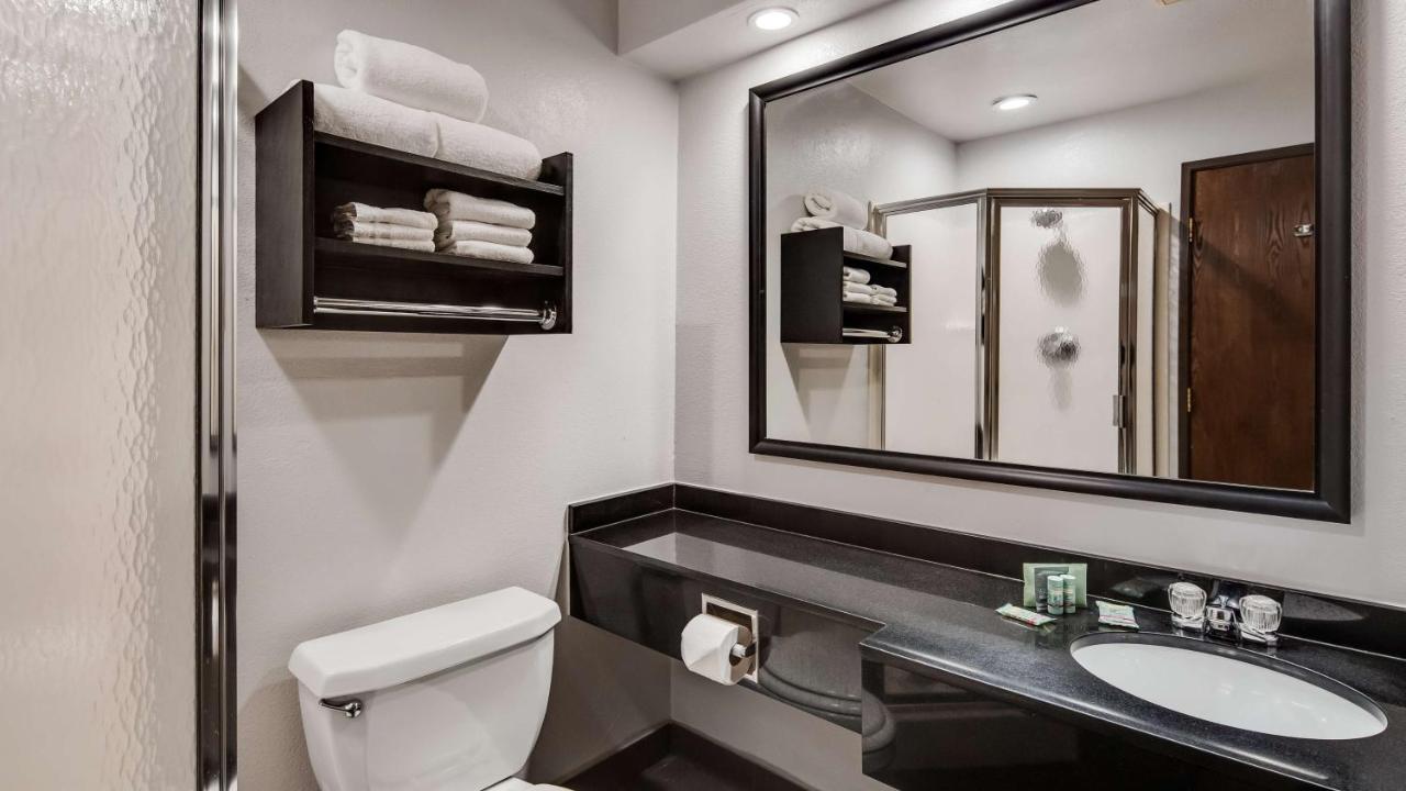 King Suite Shower Only - Non-Smoking at Best Western Lapeer Inn