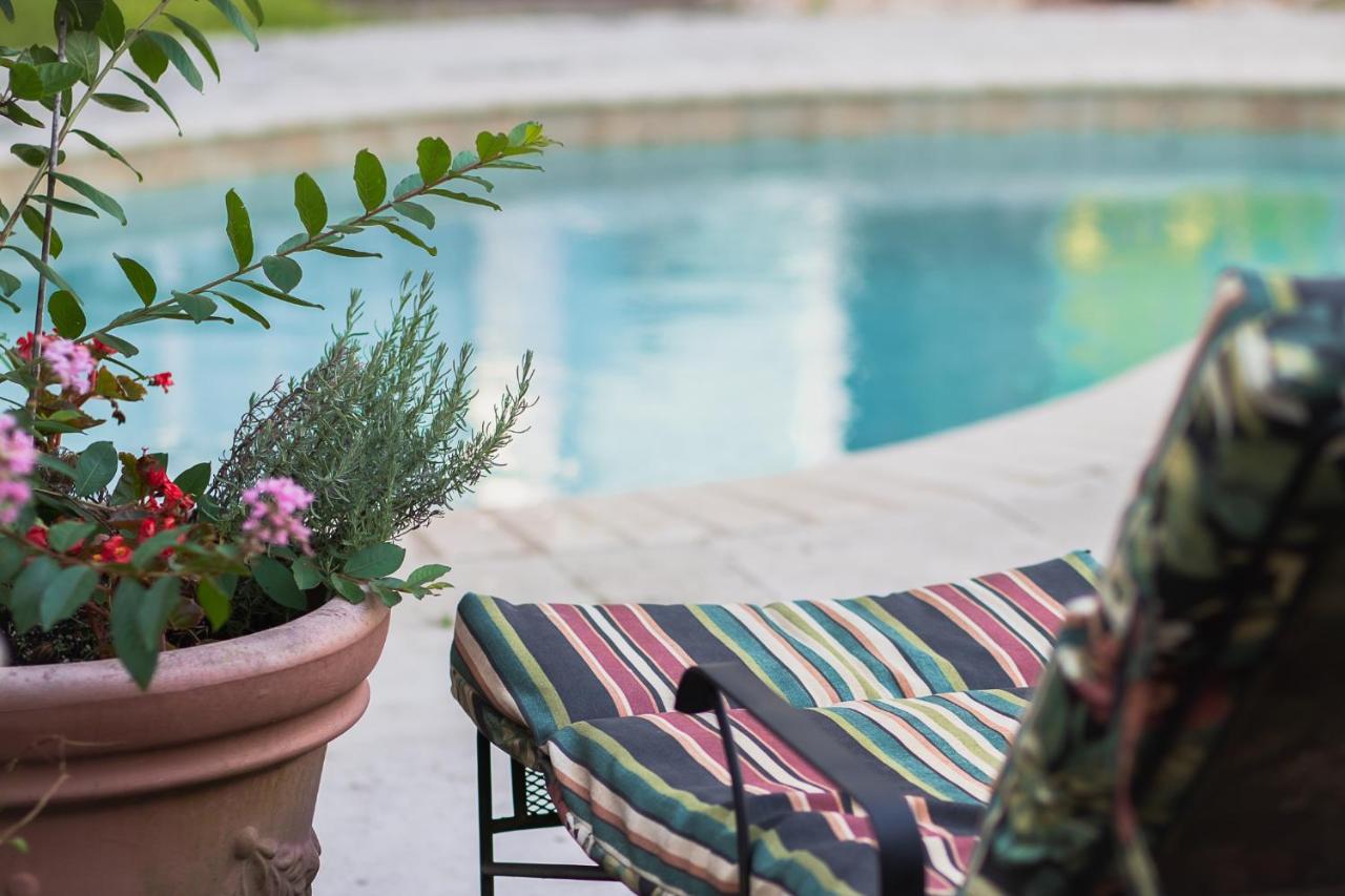 | Chez Palmiers B&B