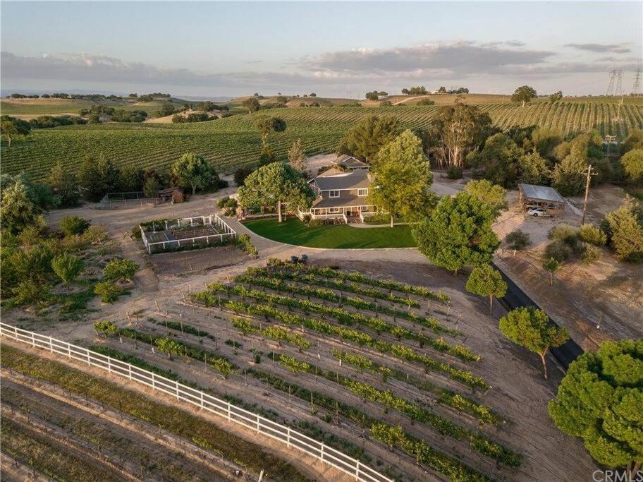  | The Vineyard Farmhouse Villa