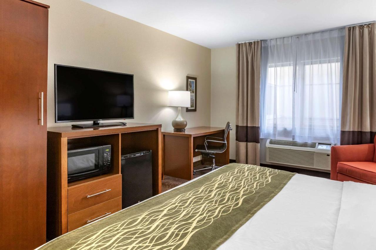 King Room - Non-Smoking at Comfort Inn Okemos - East Lansing