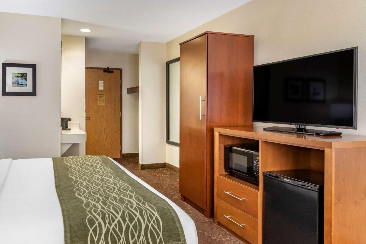 King Room - Non-Smoking at Comfort Inn Okemos - East Lansing
