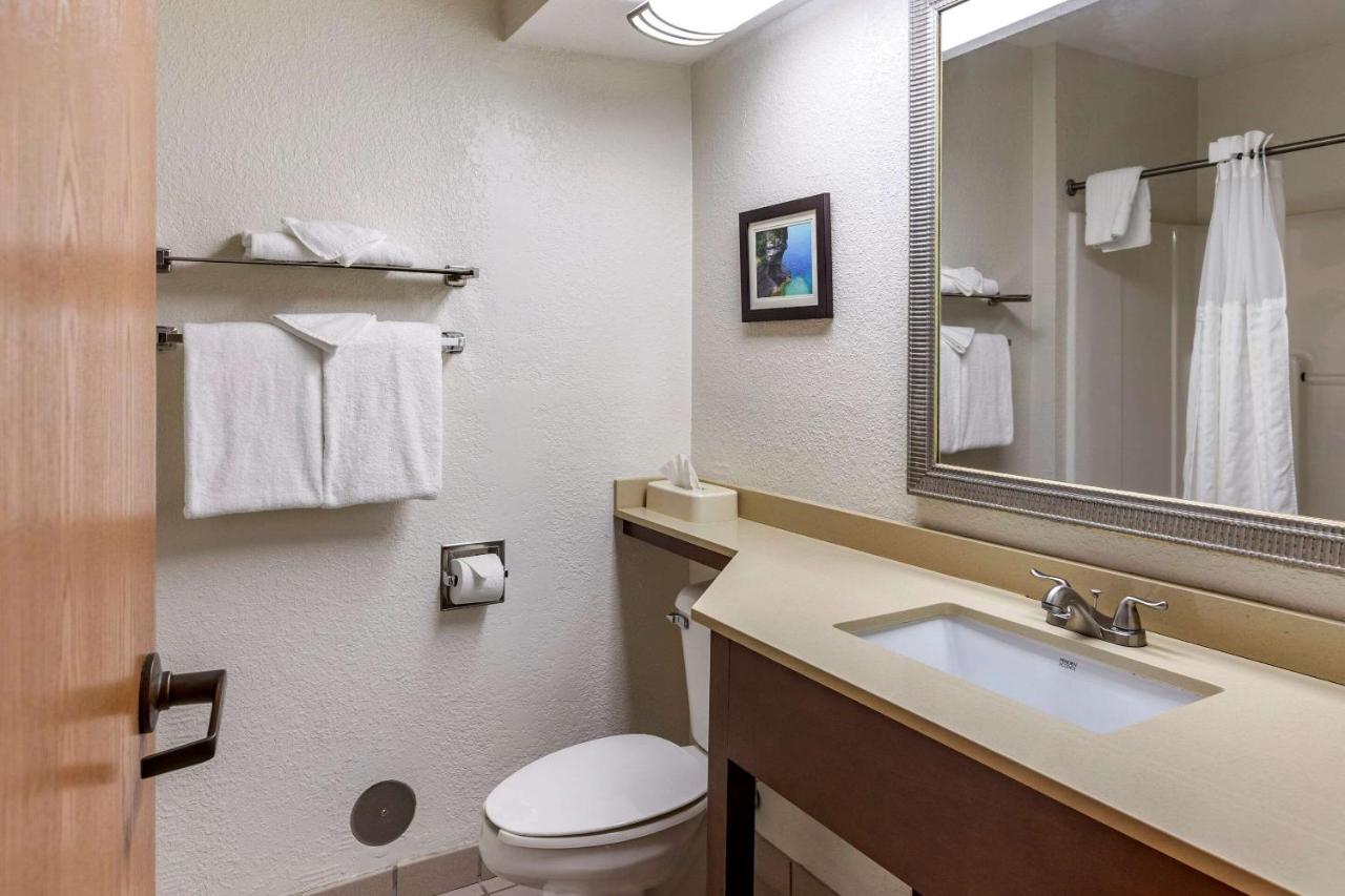 Double Room with Two Double Beds - Non-Smoking at Comfort Inn Okemos - East Lansing