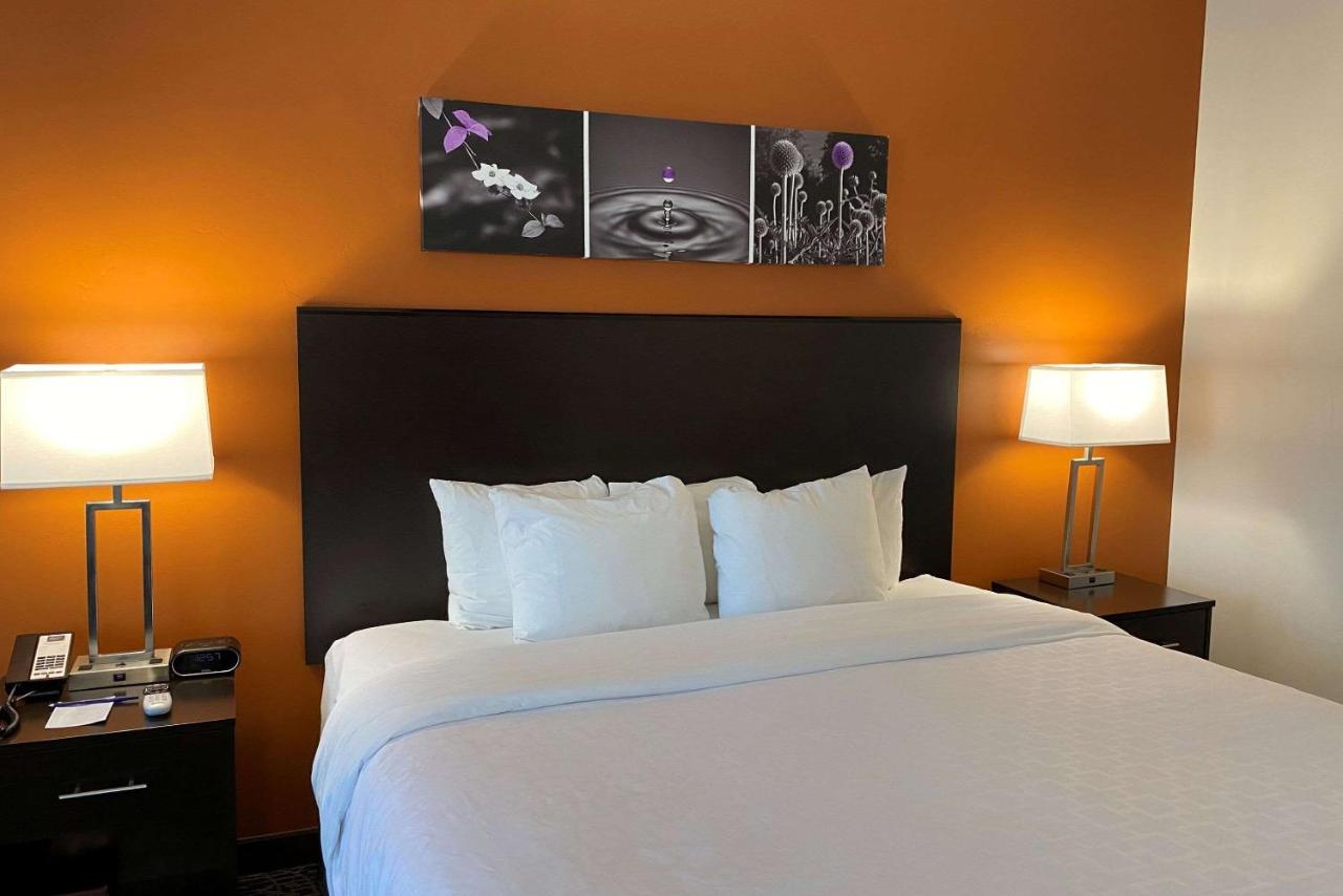 King Room - Non-Smoking at Sleep Inn & Suites Hurricane Zion Park Area