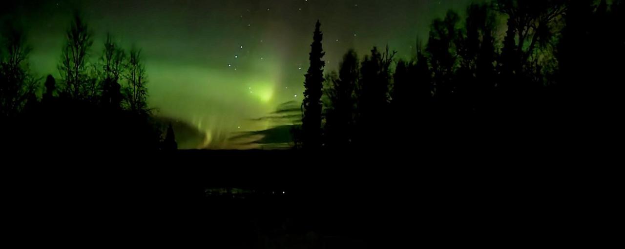 | Alaska Grizzly Lodge