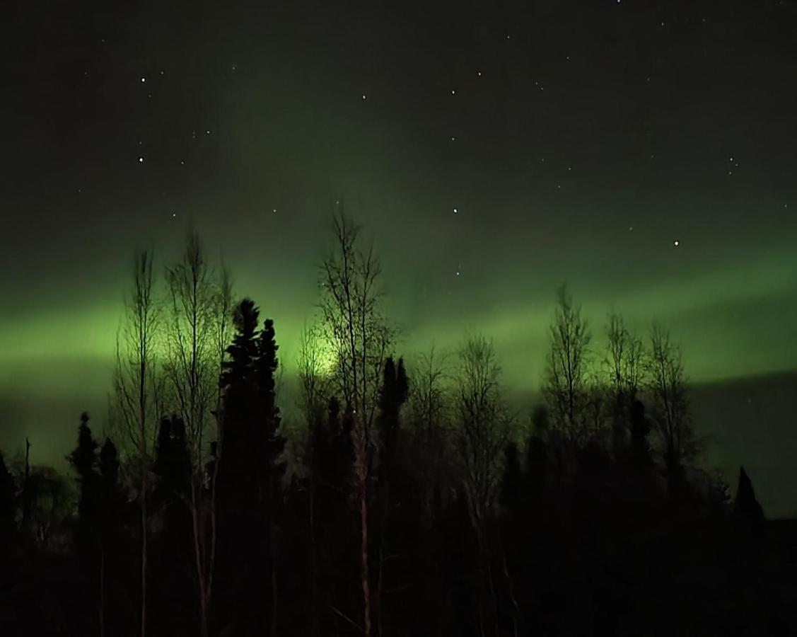 | Alaska Grizzly Lodge