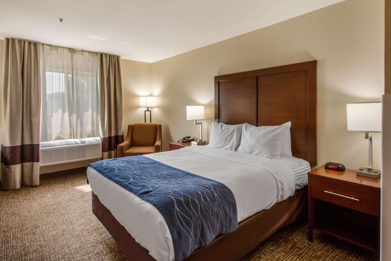 Queen Room at Comfort Inn Lehi - Thanksgiving Point Area