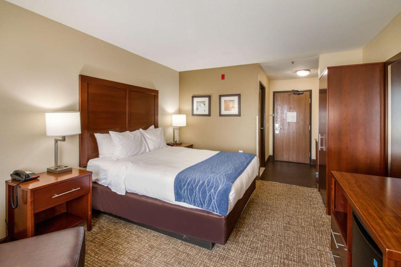 Queen Room at Comfort Inn Lehi - Thanksgiving Point Area
